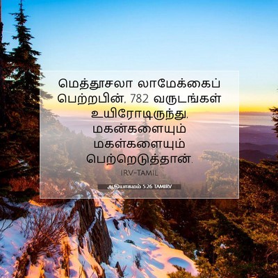 Picture 07 - ஆதியாகமம் 5:26 TAMIRV - மெத்தூசலா - Bible Verse Picture