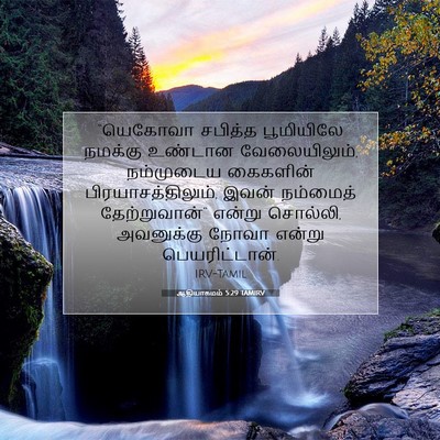 Picture 07 - ஆதியாகமம் 5:29 TAMIRV - “யெகோவா சபித்த - Bible Verse Picture