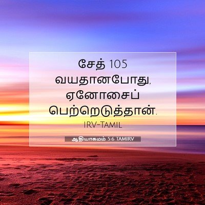 Picture 07 - ஆதியாகமம் 5:6 TAMIRV - சேத் 105 வயதானபோது, - Bible Verse Picture