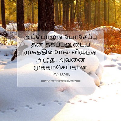 Picture 07 - ஆதியாகமம் 50:1 TAMIRV - அப்பொழுது - Bible Verse Picture