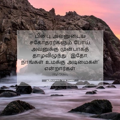 Picture 07 - ஆதியாகமம் 50:18 TAMIRV - பின்பு, அவனுடைய - Bible Verse Picture