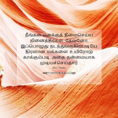 Picture 07 - ஆதியாகமம் 50:20 TAMIRV - நீங்கள் எனக்குத் - Bible Verse Picture