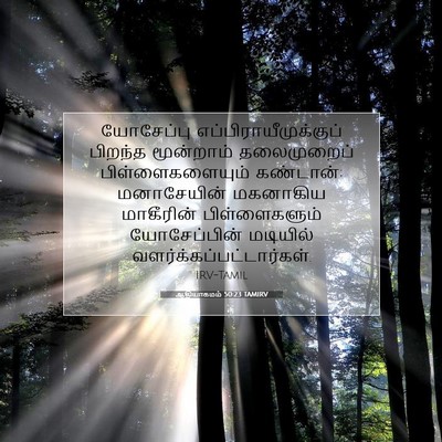 Picture 07 - ஆதியாகமம் 50:23 TAMIRV - யோசேப்பு - Bible Verse Picture