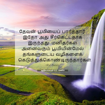 Picture 07 - ஆதியாகமம் 6:12 TAMIRV - தேவன் பூமியைப் - Bible Verse Picture