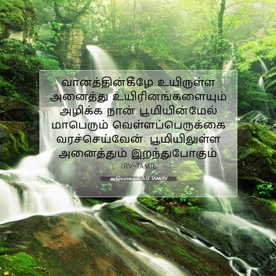 Picture 07 - ஆதியாகமம் 6:17 TAMIRV - வானத்தின்கீழே - Bible Verse Picture