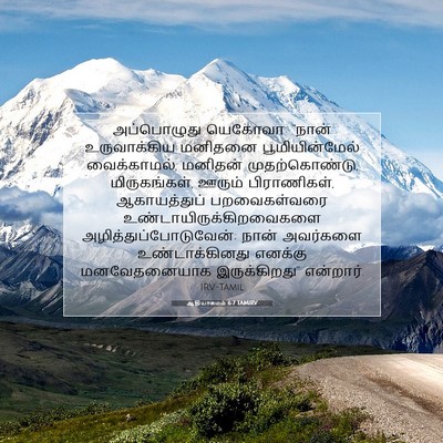 Picture 07 - ஆதியாகமம் 6:7 TAMIRV - அப்பொழுது யெகோவா: - Bible Verse Picture