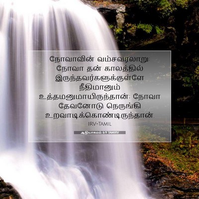 Picture 07 - ஆதியாகமம் 6:9 TAMIRV - நோவாவின் - Bible Verse Picture