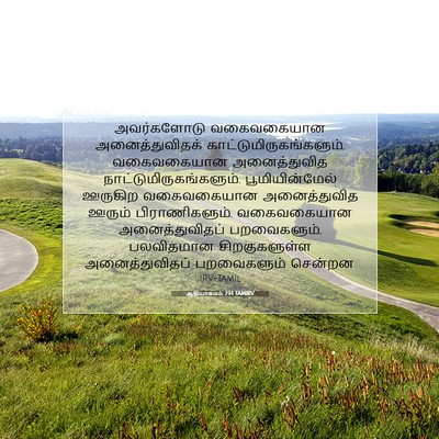 Picture 07 - ஆதியாகமம் 7:14 TAMIRV - அவர்களோடு - Bible Verse Picture