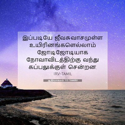 Picture 07 - ஆதியாகமம் 7:15 TAMIRV - இப்படியே - Bible Verse Picture
