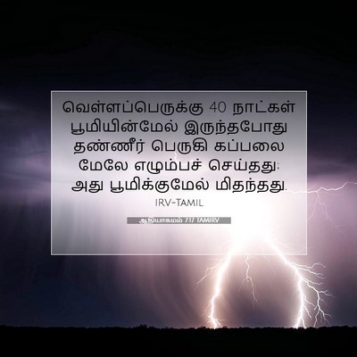 Picture 07 - ஆதியாகமம் 7:17 TAMIRV - வெள்ளப்பெருக்கு 40 - Bible Verse Picture