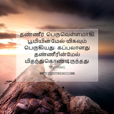 Picture 07 - ஆதியாகமம் 7:18 TAMIRV - தண்ணீர் - Bible Verse Picture