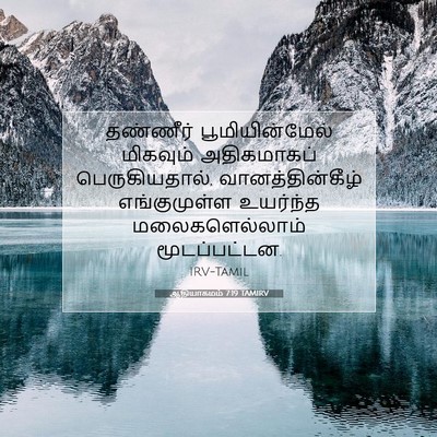 Picture 07 - ஆதியாகமம் 7:19 TAMIRV - தண்ணீர் - Bible Verse Picture