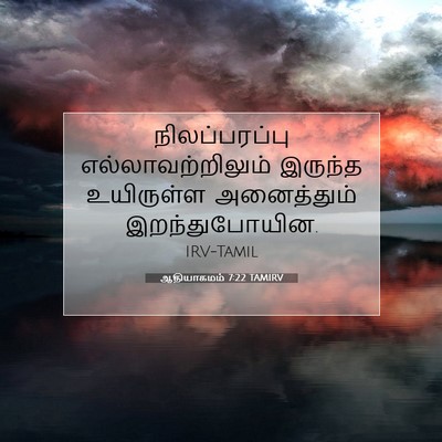 Picture 07 - ஆதியாகமம் 7:22 TAMIRV - நிலப்பரப்பு - Bible Verse Picture