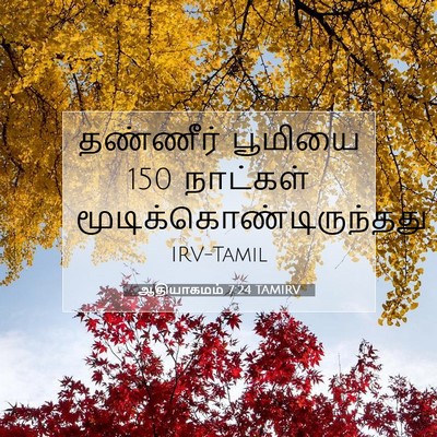 Picture 07 - ஆதியாகமம் 7:24 TAMIRV - தண்ணீர் பூமியை 150 - Bible Verse Picture
