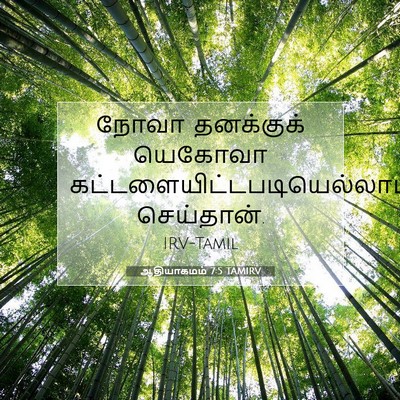 Picture 07 - ஆதியாகமம் 7:5 TAMIRV - நோவா தனக்குக் - Bible Verse Picture