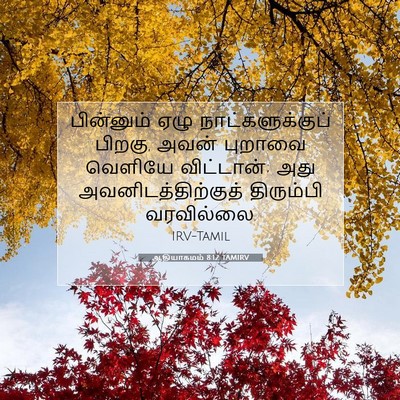 Picture 07 - ஆதியாகமம் 8:12 TAMIRV - பின்னும் ஏழு - Bible Verse Picture