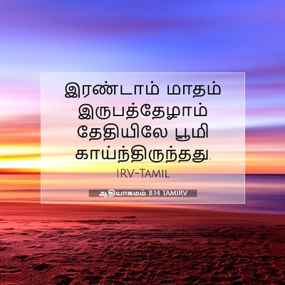 Picture 07 - ஆதியாகமம் 8:14 TAMIRV - இரண்டாம் மாதம் - Bible Verse Picture