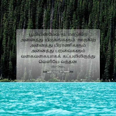 Picture 07 - ஆதியாகமம் 8:19 TAMIRV - பூமியின்மேல் - Bible Verse Picture