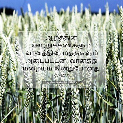 Picture 07 - ஆதியாகமம் 8:2 TAMIRV - ஆழத்தின் - Bible Verse Picture