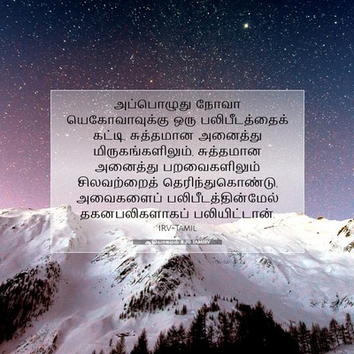 Picture 07 - ஆதியாகமம் 8:20 TAMIRV - அப்பொழுது நோவா - Bible Verse Picture
