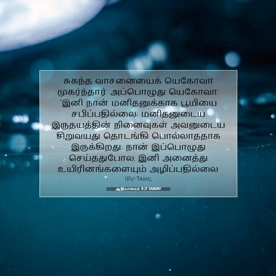 Picture 07 - ஆதியாகமம் 8:21 TAMIRV - சுகந்த வாசனையைக் - Bible Verse Picture