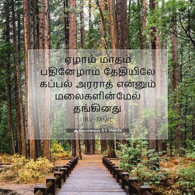 Picture 07 - ஆதியாகமம் 8:4 TAMIRV - ஏழாம் மாதம் - Bible Verse Picture