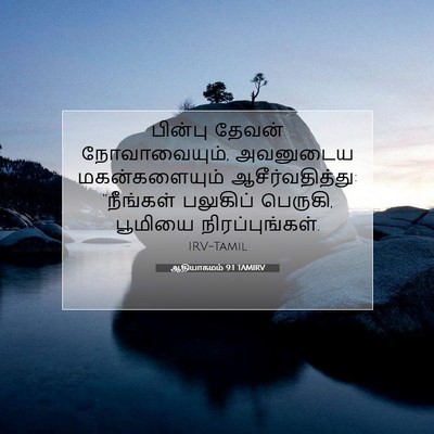 Picture 07 - ஆதியாகமம் 9:1 TAMIRV - பின்பு தேவன் - Bible Verse Picture