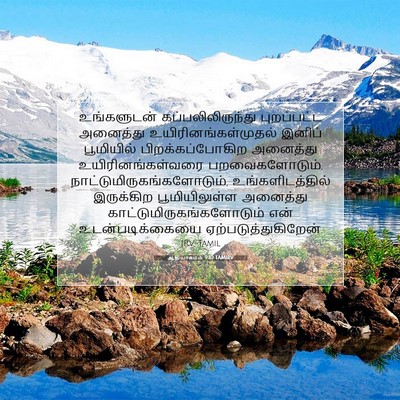 Picture 07 - ஆதியாகமம் 9:10 TAMIRV - உங்களுடன் - Bible Verse Picture