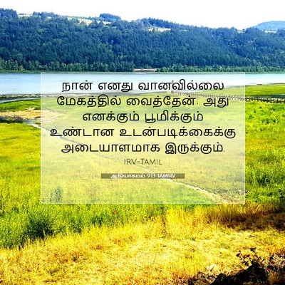Picture 07 - ஆதியாகமம் 9:13 TAMIRV - நான் எனது - Bible Verse Picture
