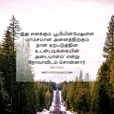 Picture 07 - ஆதியாகமம் 9:17 TAMIRV - இது எனக்கும், - Bible Verse Picture