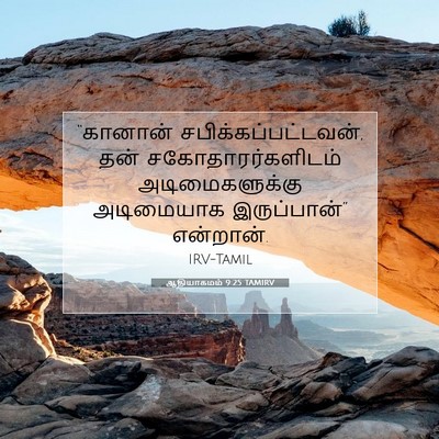 Picture 07 - ஆதியாகமம் 9:25 TAMIRV - “கானான் - Bible Verse Picture