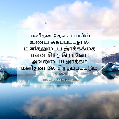 Picture 07 - ஆதியாகமம் 9:6 TAMIRV - மனிதன் தேவசாயலில் - Bible Verse Picture