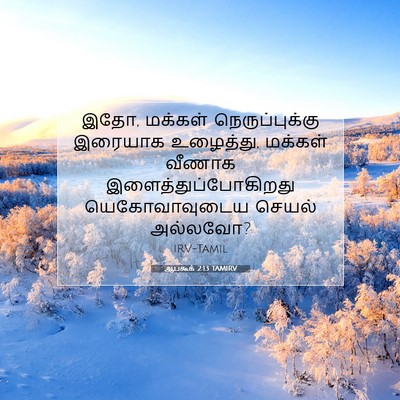 Picture 07 - ஆபகூக் 2:13 TAMIRV - இதோ, மக்கள் - Bible Verse Picture