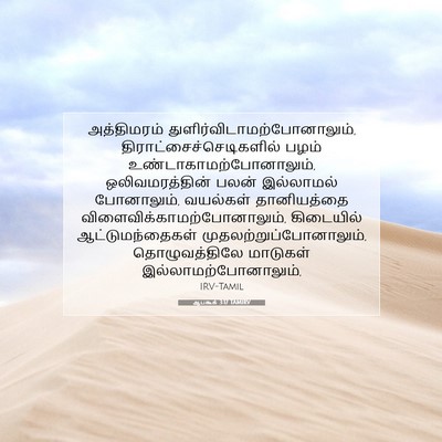Picture 07 - ஆபகூக் 3:17 TAMIRV - அத்திமரம் - Bible Verse Picture