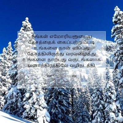 Picture 07 - ஆமோஸ் 2:10 TAMIRV - நீங்கள் - Bible Verse Picture