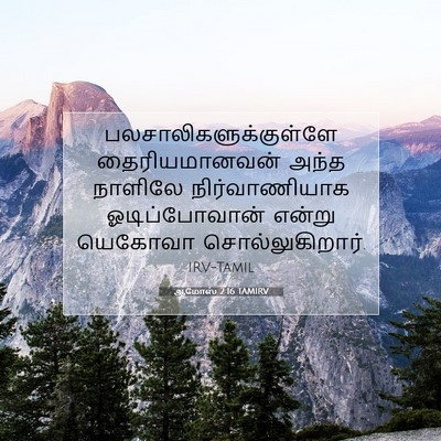 Picture 07 - ஆமோஸ் 2:16 TAMIRV -  - Bible Verse Picture