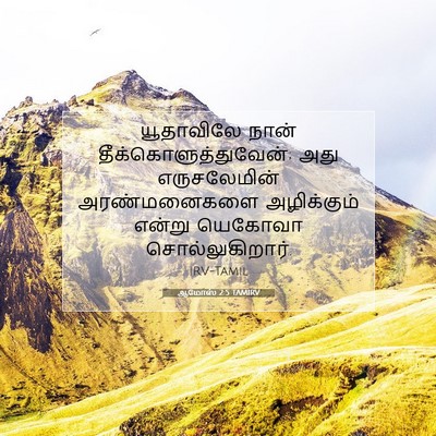 Picture 07 - ஆமோஸ் 2:5 TAMIRV - யூதாவிலே நான் - Bible Verse Picture