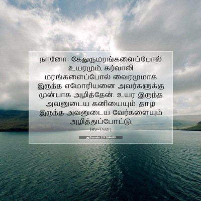 Picture 07 - ஆமோஸ் 2:9 TAMIRV - நானோ: - Bible Verse Picture