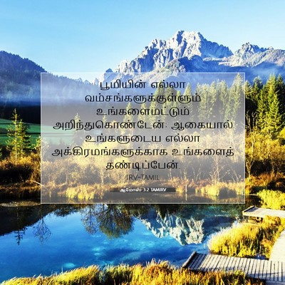 Picture 07 - ஆமோஸ் 3:2 TAMIRV - பூமியின் எல்லா - Bible Verse Picture