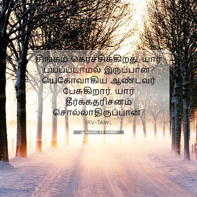 Picture 07 - ஆமோஸ் 3:8 TAMIRV - சிங்கம் - Bible Verse Picture