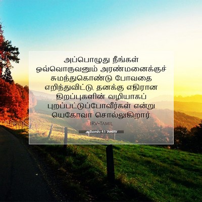 Picture 07 - ஆமோஸ் 4:3 TAMIRV - அப்பொழுது நீங்கள் - Bible Verse Picture