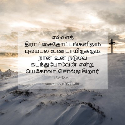 Picture 07 - ஆமோஸ் 5:17 TAMIRV - எல்லாத் - Bible Verse Picture