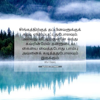 Picture 07 - ஆமோஸ் 5:19 TAMIRV - சிங்கத்திற்குத் - Bible Verse Picture