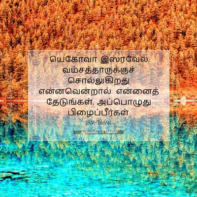 Picture 07 - ஆமோஸ் 5:4 TAMIRV - யெகோவா இஸ்ரவேல் - Bible Verse Picture