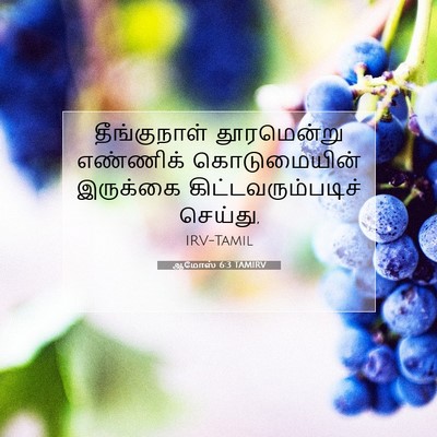 Picture 07 - ஆமோஸ் 6:3 TAMIRV - தீங்குநாள் - Bible Verse Picture