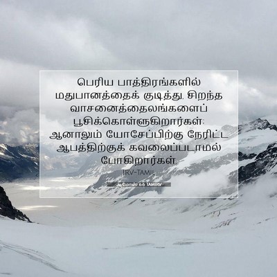 Picture 07 - ஆமோஸ் 6:6 TAMIRV - பெரிய - Bible Verse Picture