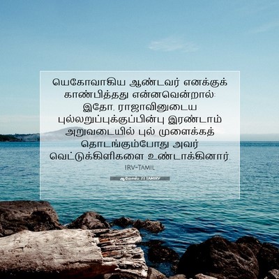 Picture 07 - ஆமோஸ் 7:1 TAMIRV - யெகோவாகிய ஆண்டவர் - Bible Verse Picture
