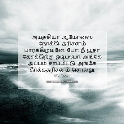 Picture 07 - ஆமோஸ் 7:12 TAMIRV - அமத்சியா ஆமோஸை - Bible Verse Picture
