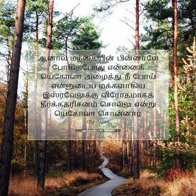 Picture 07 - ஆமோஸ் 7:15 TAMIRV - ஆனால் மந்தையின் - Bible Verse Picture