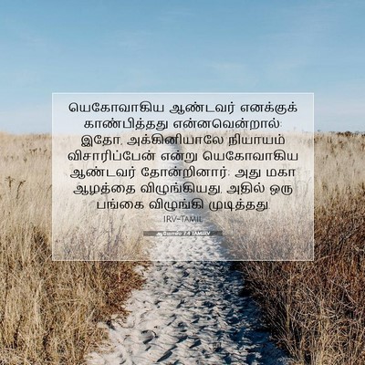 Picture 07 - ஆமோஸ் 7:4 TAMIRV - யெகோவாகிய ஆண்டவர் - Bible Verse Picture